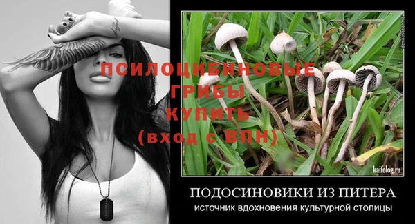 первитин Михайлов